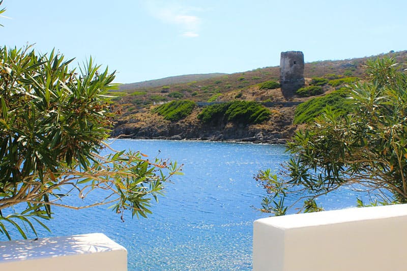 Isola l'asinara