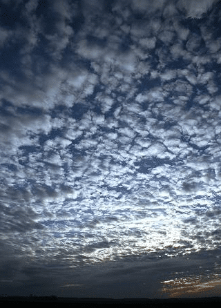 altocumulus floccus