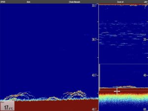 Raymarine CP470 marcature pesci inchiku