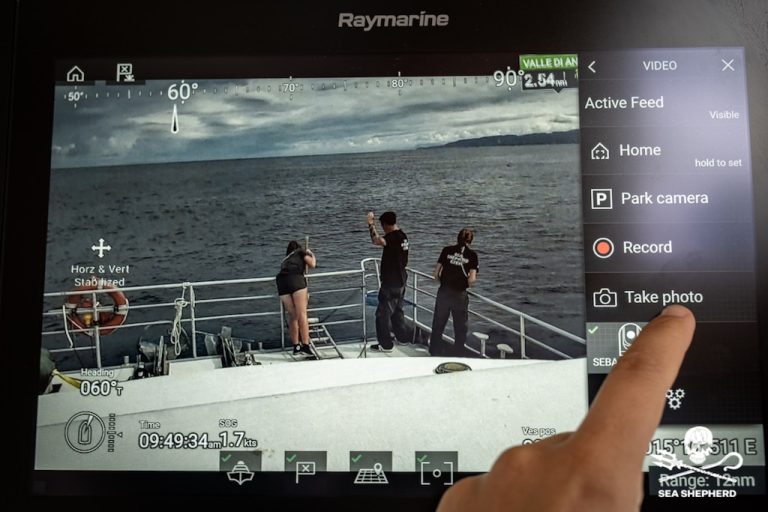 Raymarine