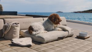 Poldo Dog Couture, il lussuoso kit per cani in barca